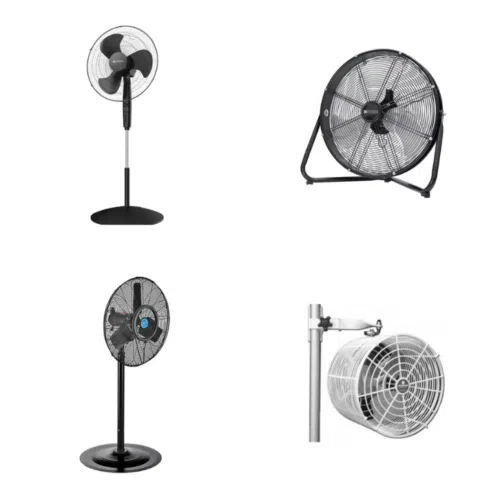 Fans Category Picture