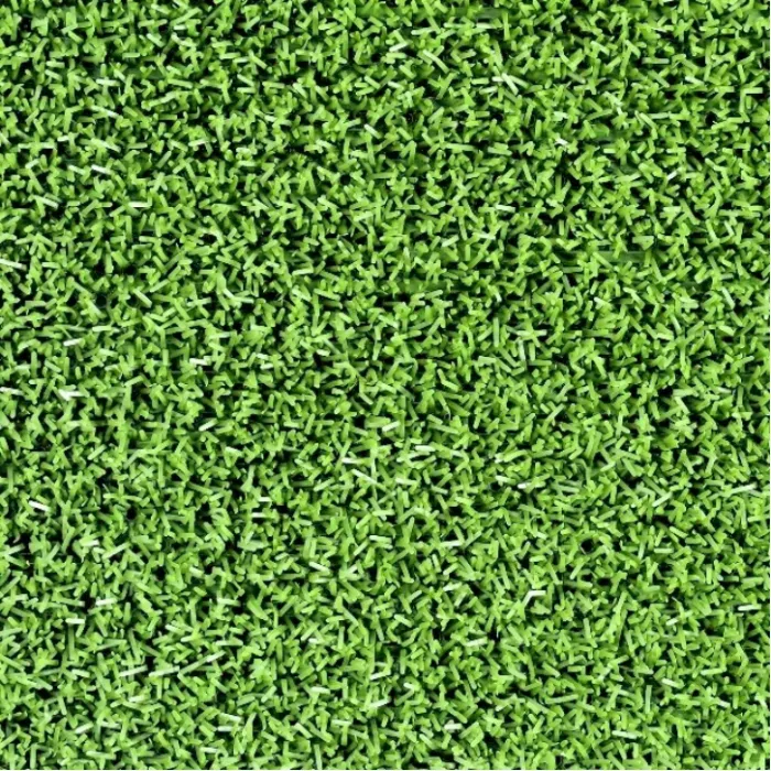 astro Turf Picture