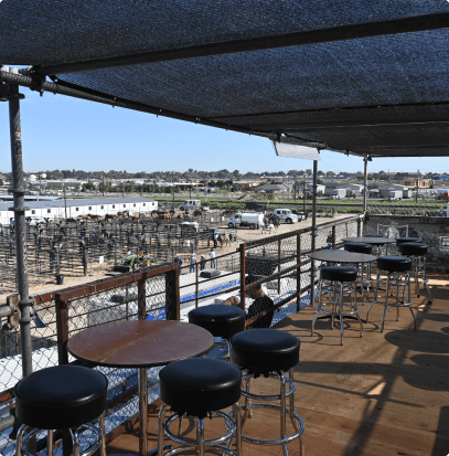 Bar Stools Chair Rental Event Rent Rental Services In Idaho