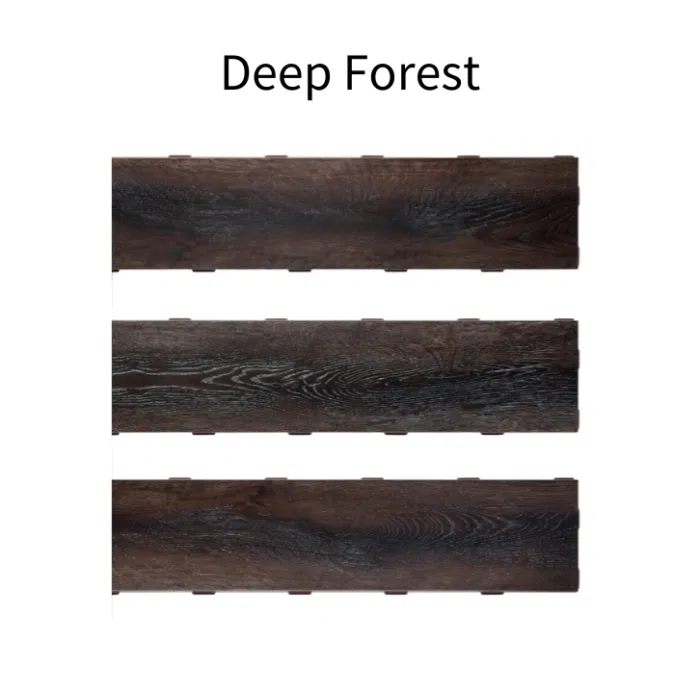 Deep Forest Carpet Picture