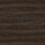 Deep Forest Picture 700x700