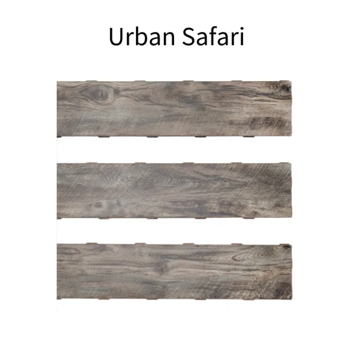 Urban Safari Carpet Picture