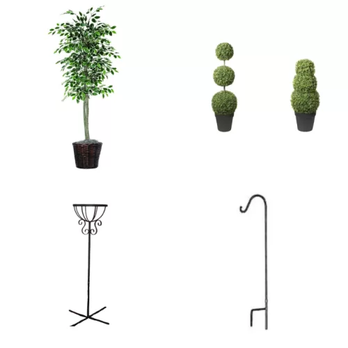 Plants & Plant Stands