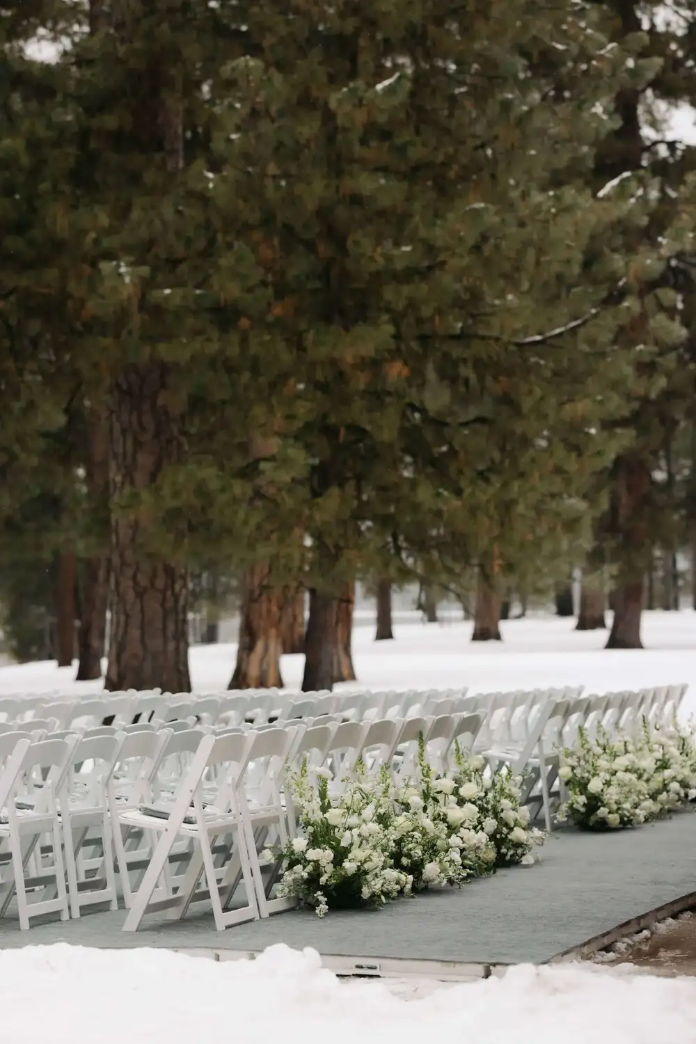 Harfmann Wedding P5 1000w