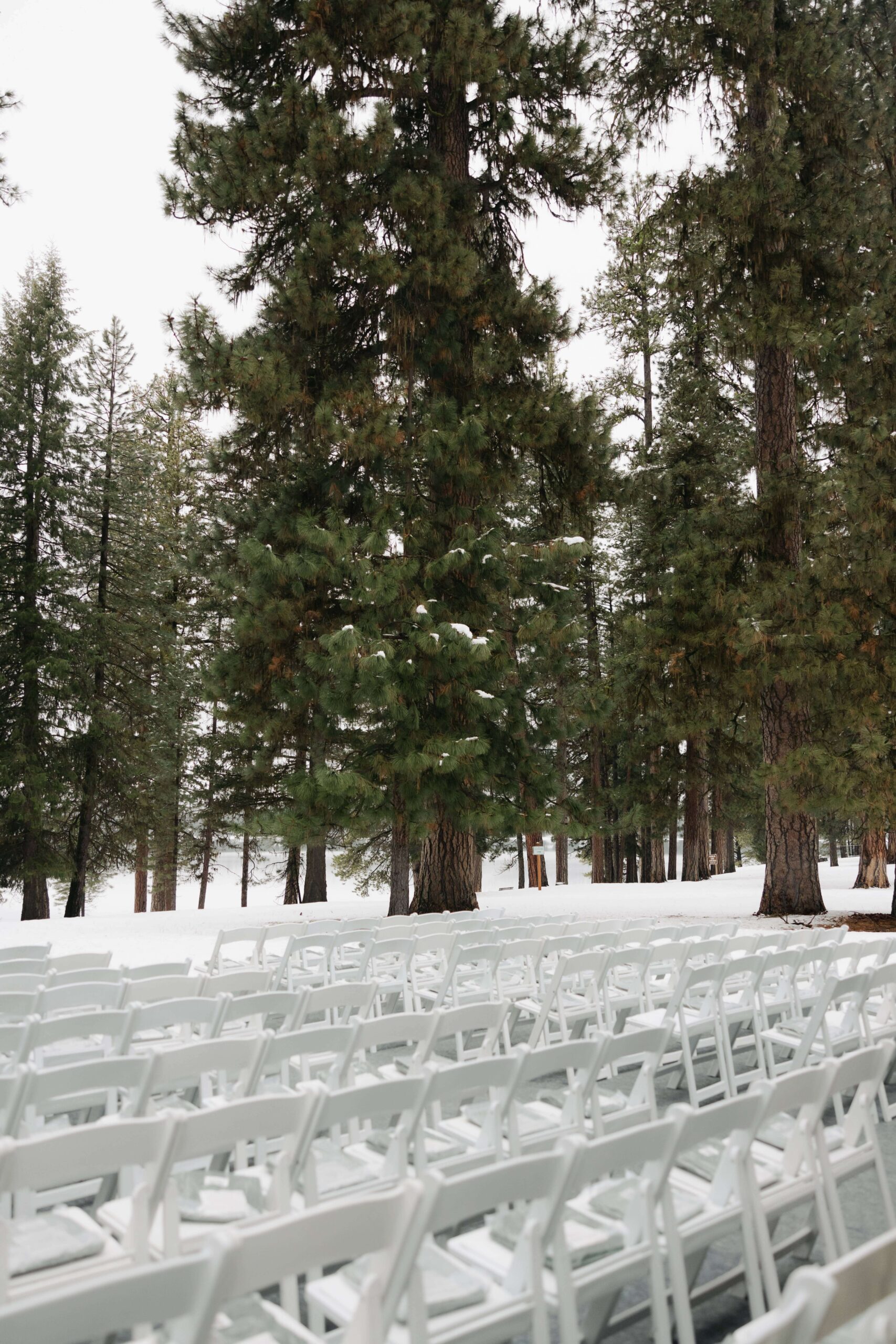 Harfmann Wedding P6 1