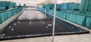 Boise Valley Fly Fishing Show 3